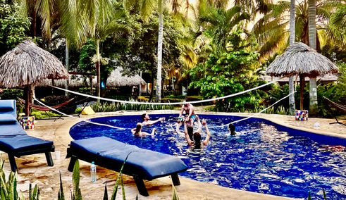 Accomodatie The Dreamer in Palomino